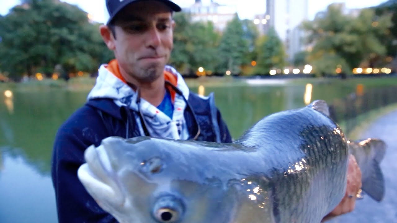 Можно ли рыбачить в Центральном парке